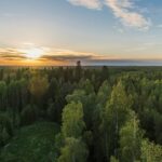 Looduvaade päikeseloojanguga